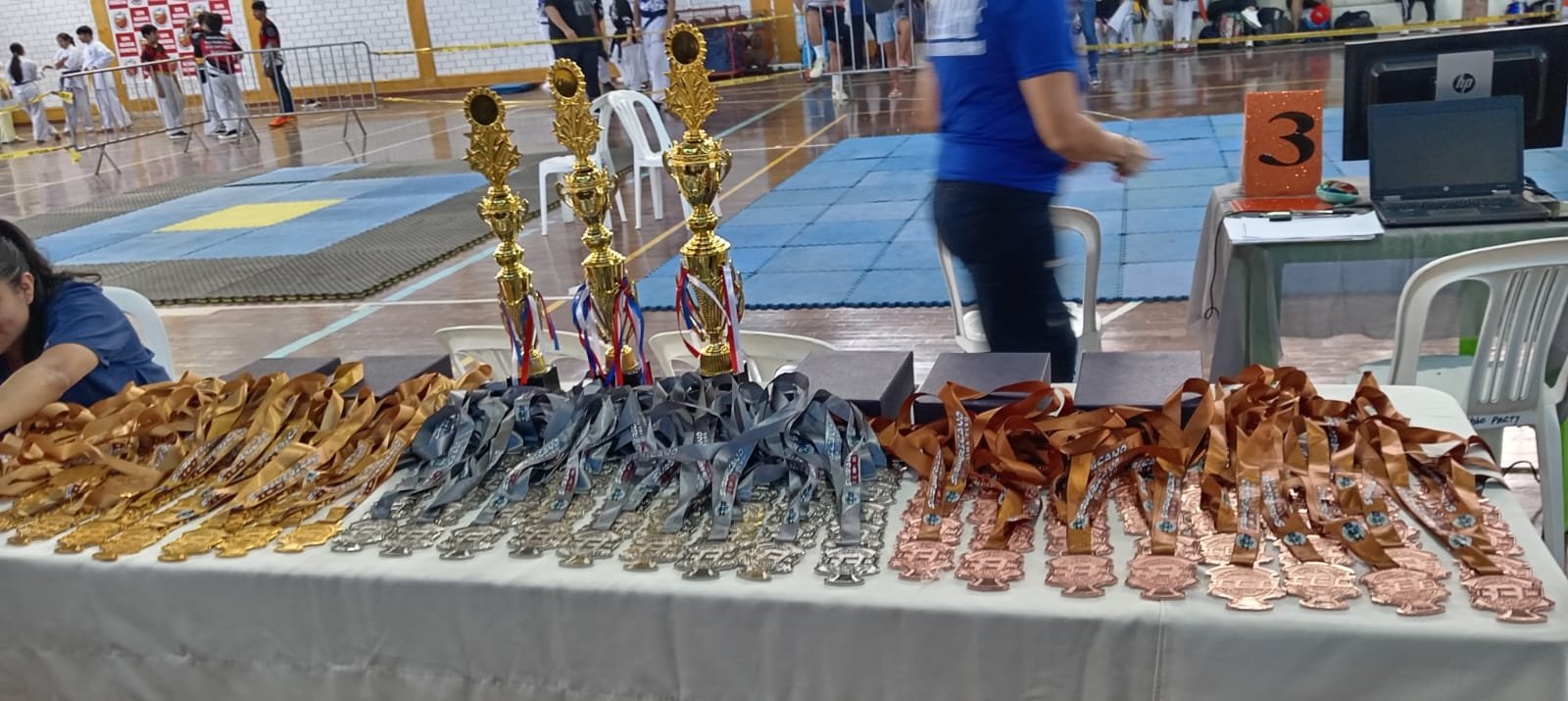 Campeonato<br />SUDAMERICANO ICO